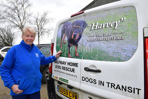 Halfway Home Dog Rescue, closing due to owner retiring