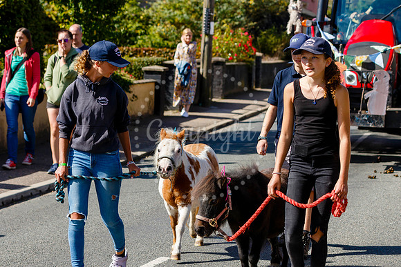 Pulham Market Carnival whose theme this year of ‘Under the Sea