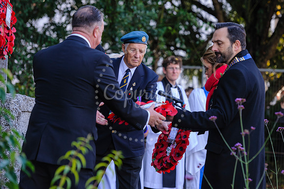 Harleston Annual Remembrance Parade and The Royal British Legion Poppy Appeal