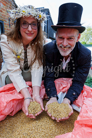 Grain Brewery Barley Queen